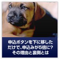 申込みボタンを下に移しだけで申込みが５倍に？その理由と裏側とは