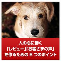 人の心に響く「レビュー」「お客さまの声」を作るための6つのポイント