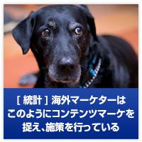 補足：海外のWEBコンテンツ制作界隈はどんな雰囲気なのか？