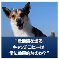 20121222_catchcopy-positive-or-negative