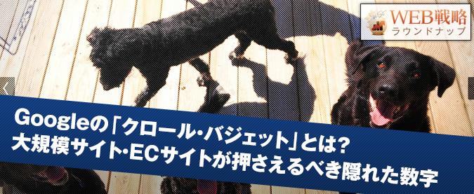 2013年11月13日_Crawl-Budget