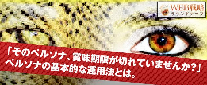 2013年11月20日_Really-perusona