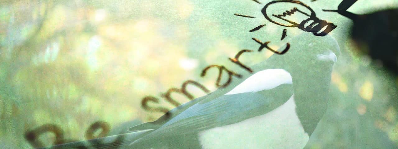 smart-725843_1280-3-e1574647825652