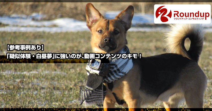 【参考事例あり】疑似体験・白昼夢に強いのが動画コンテンツのキモ！