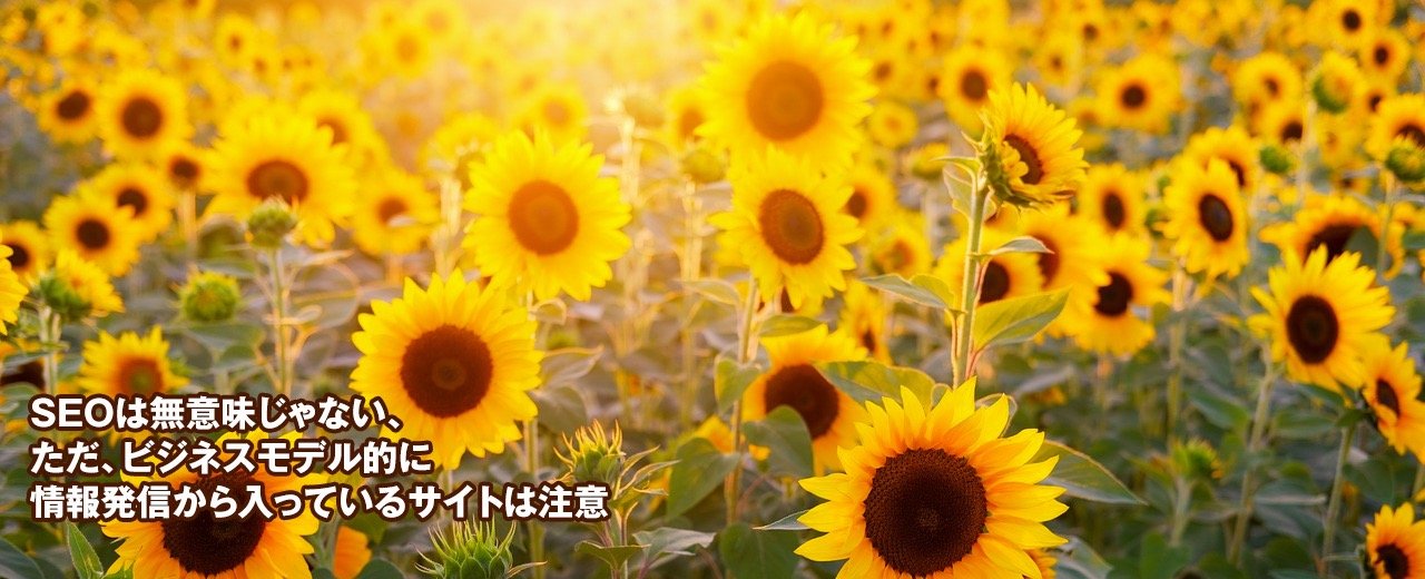 SEOは無意味じゃない、ただ、ビジネスモデル的に情報発信から入っているサイトは注意